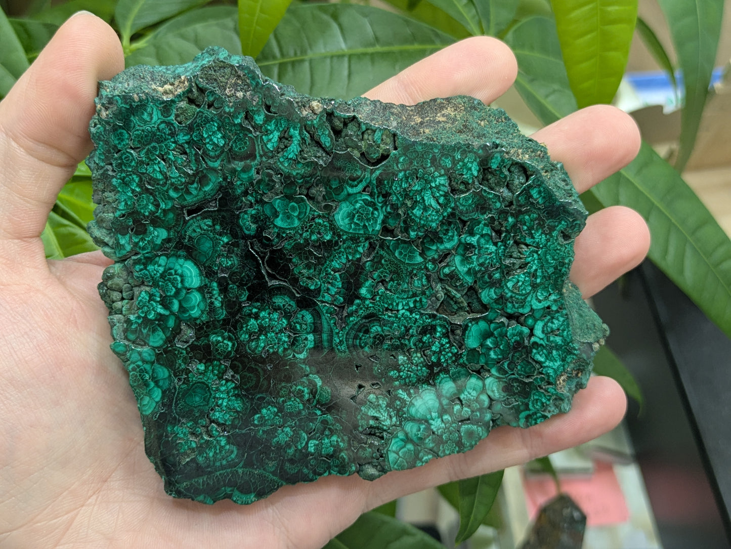 Polished Malachite Slab