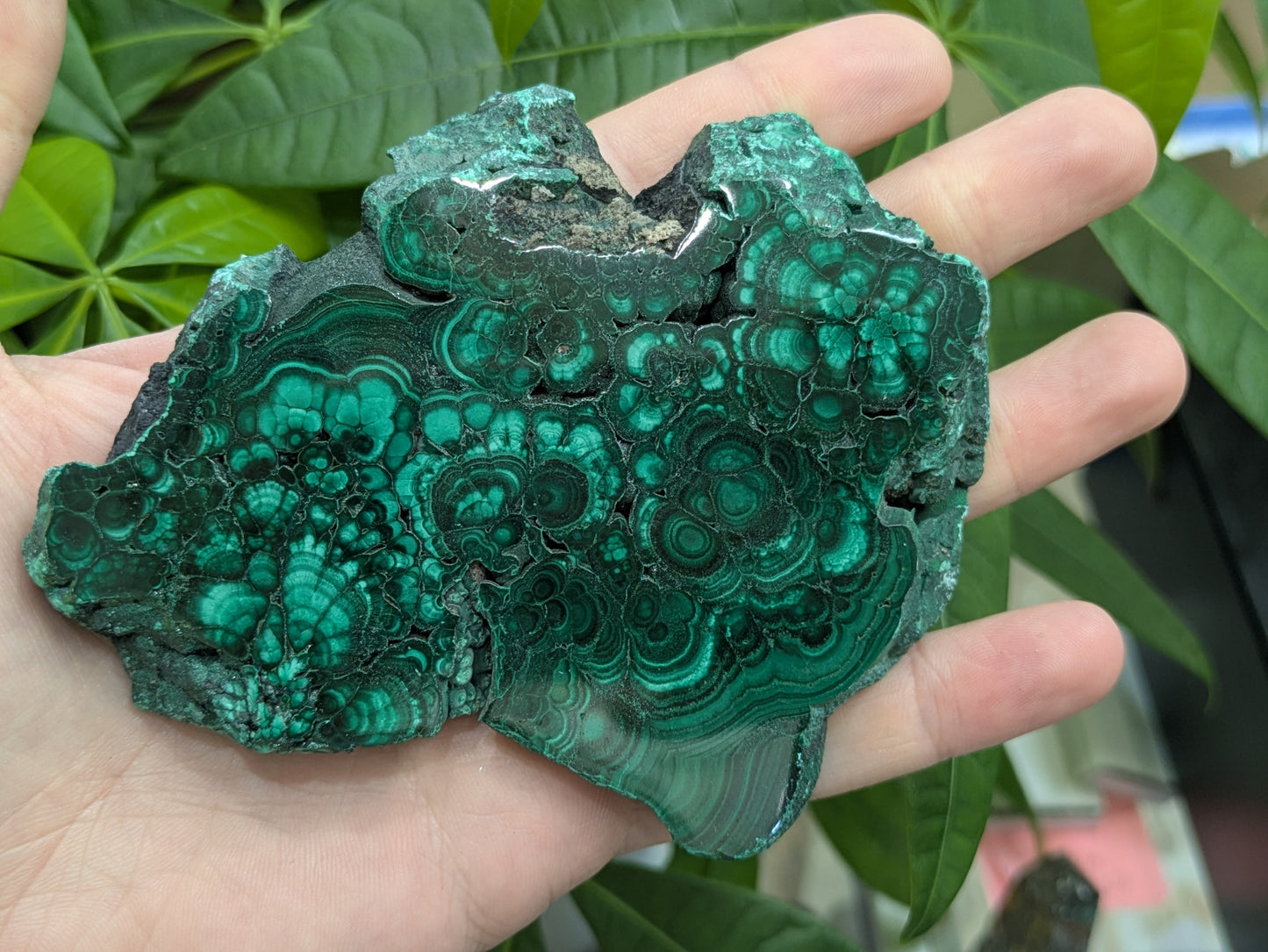 Polished Malachite Slab