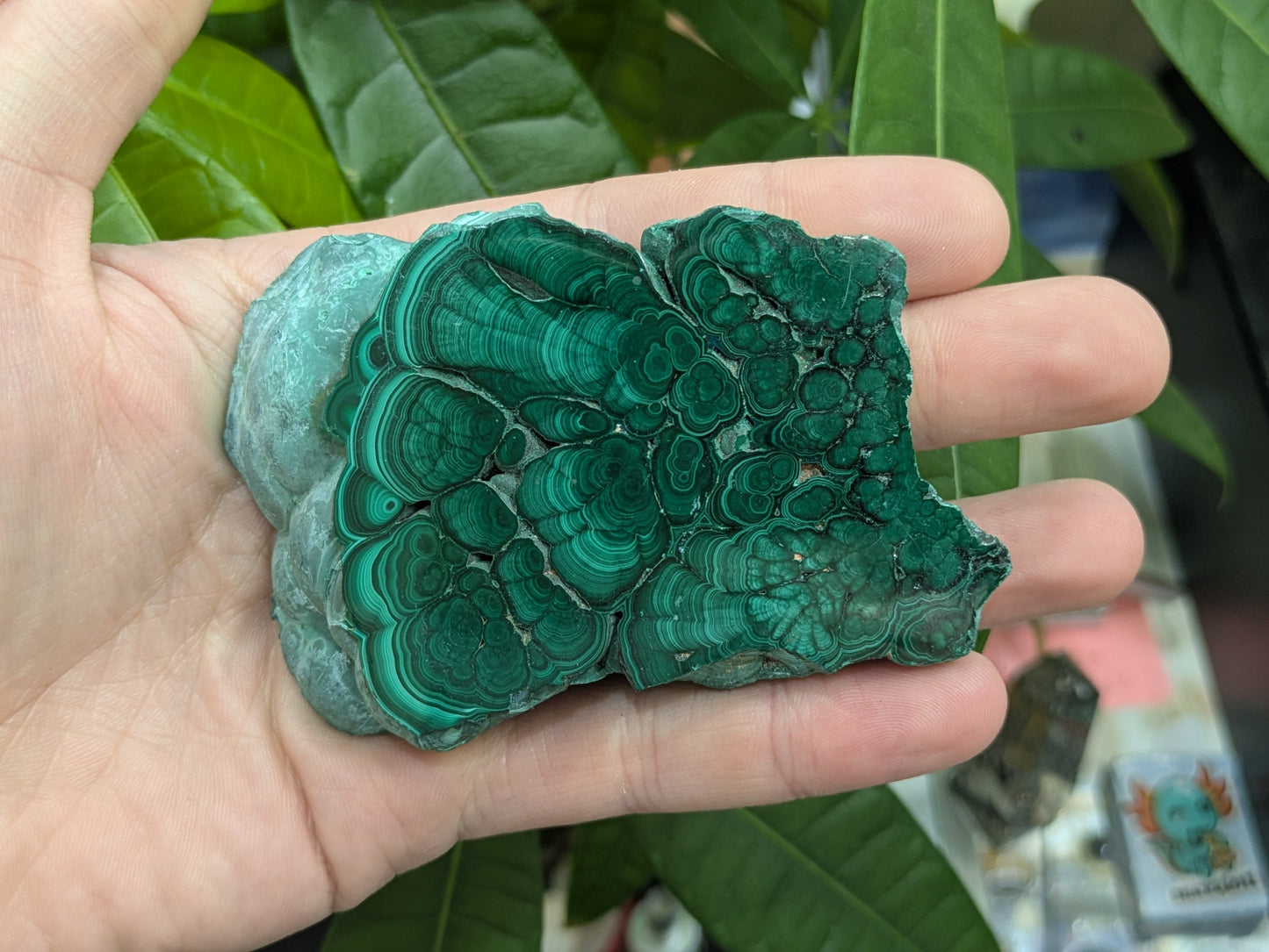 Polished Malachite Slab