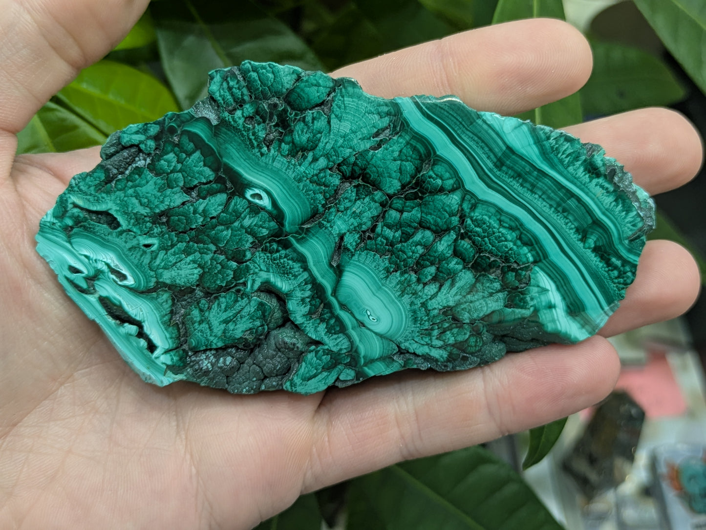 Polished Malachite Slab