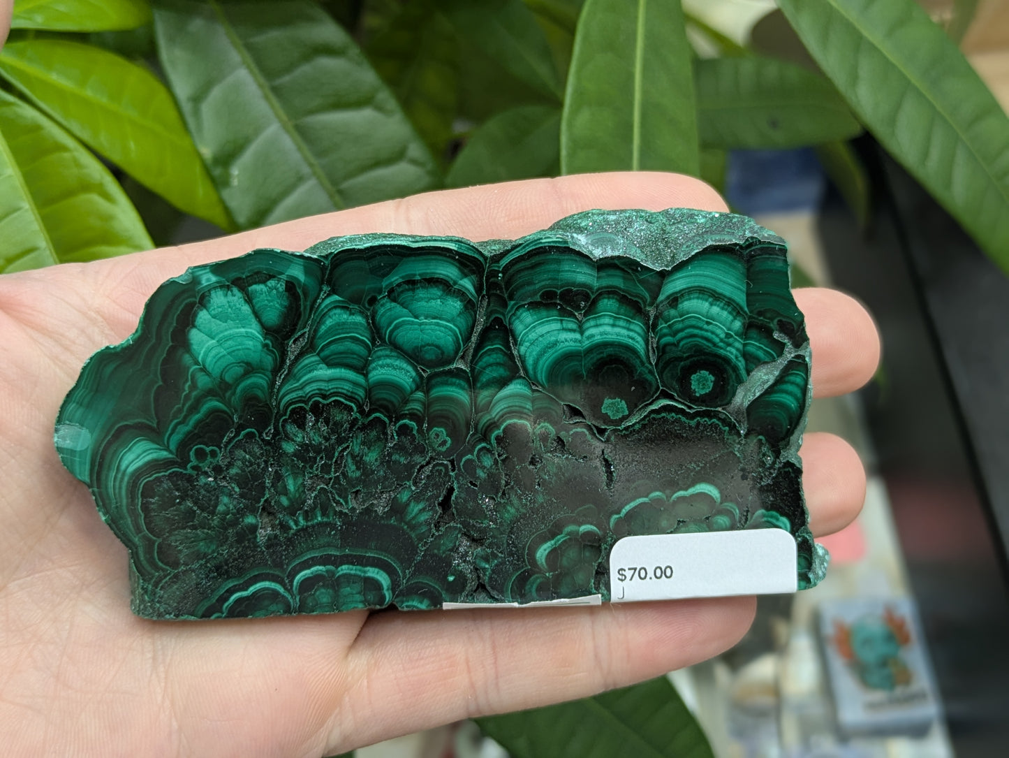 Polished Malachite Slab