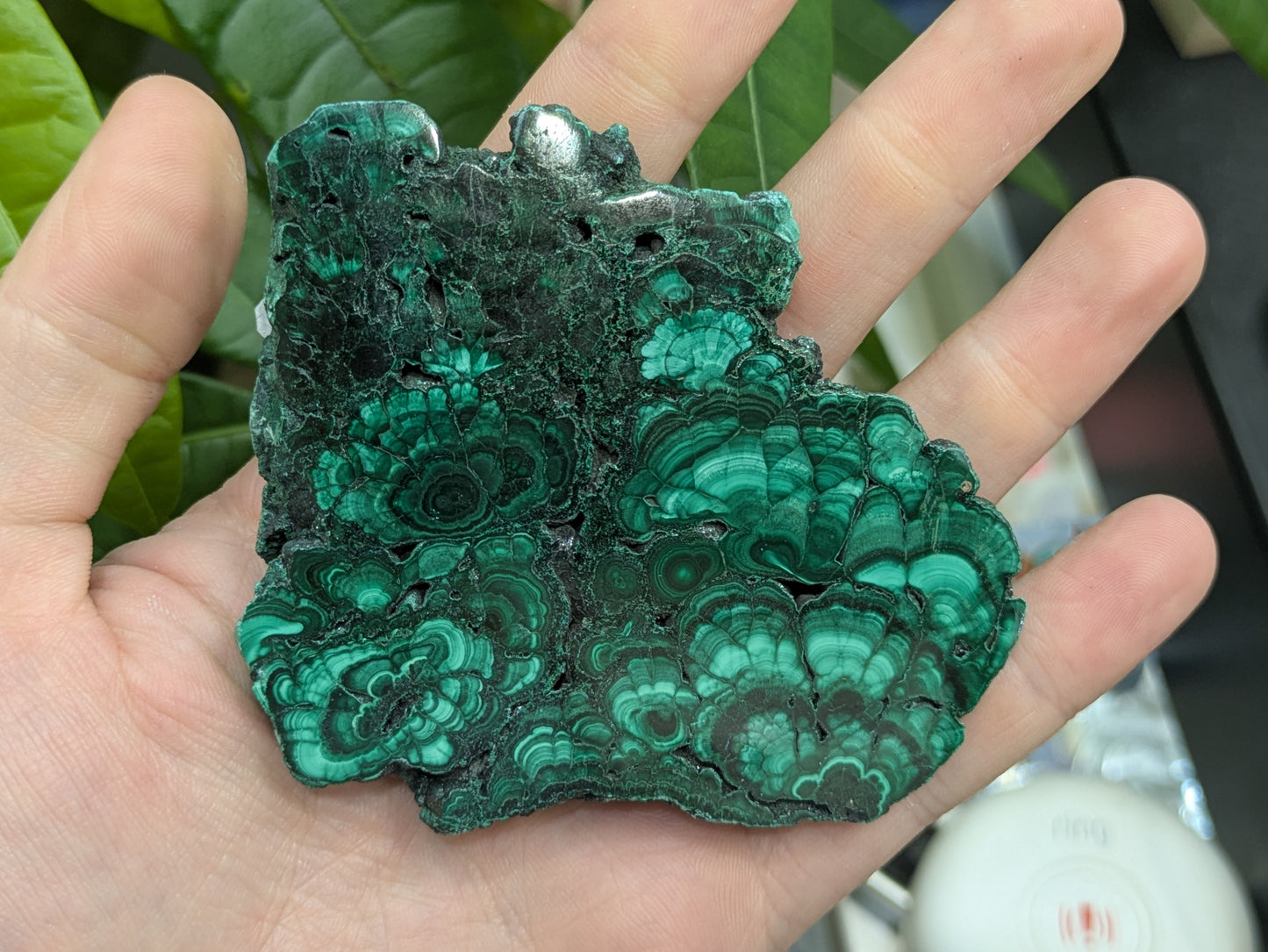 Polished Malachite Slab