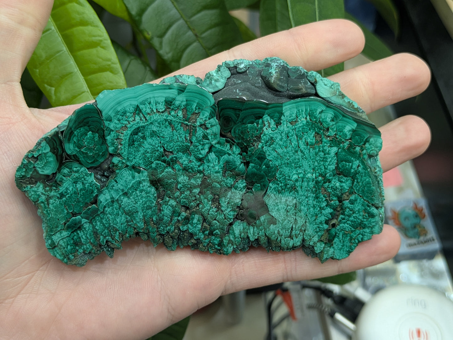 Polished Malachite Slab