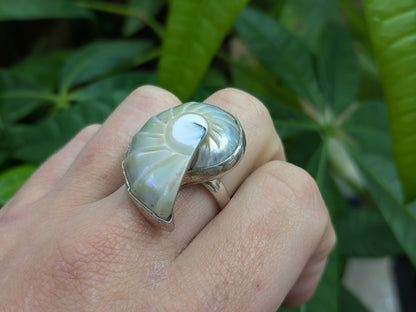 Sterling Shell Ring