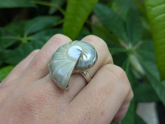 Sterling Shell Ring
