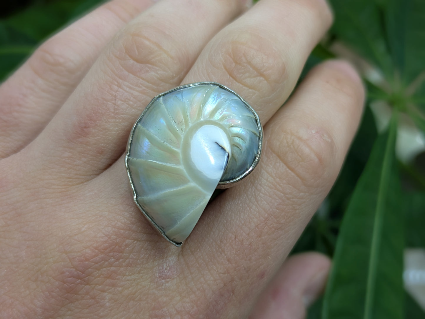 Sterling Shell Ring