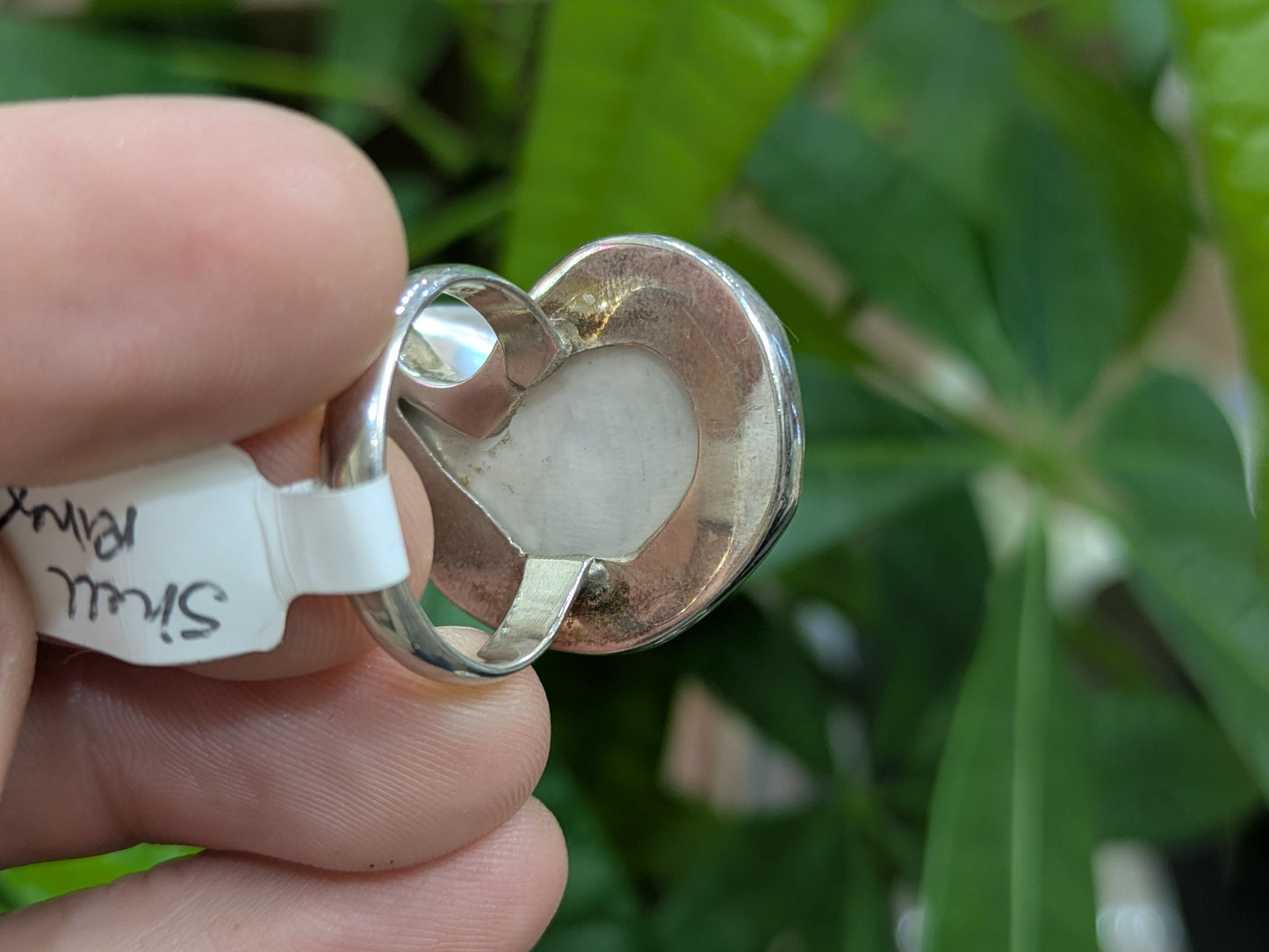 Sterling Shell Ring
