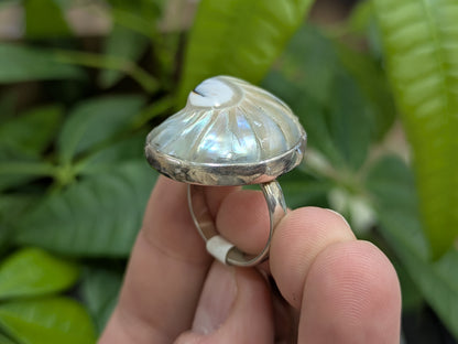 Sterling Shell Ring