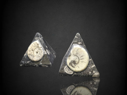 Orthoceras Pyramid