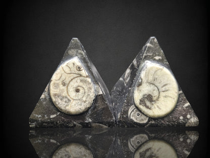 Orthoceras Pyramid