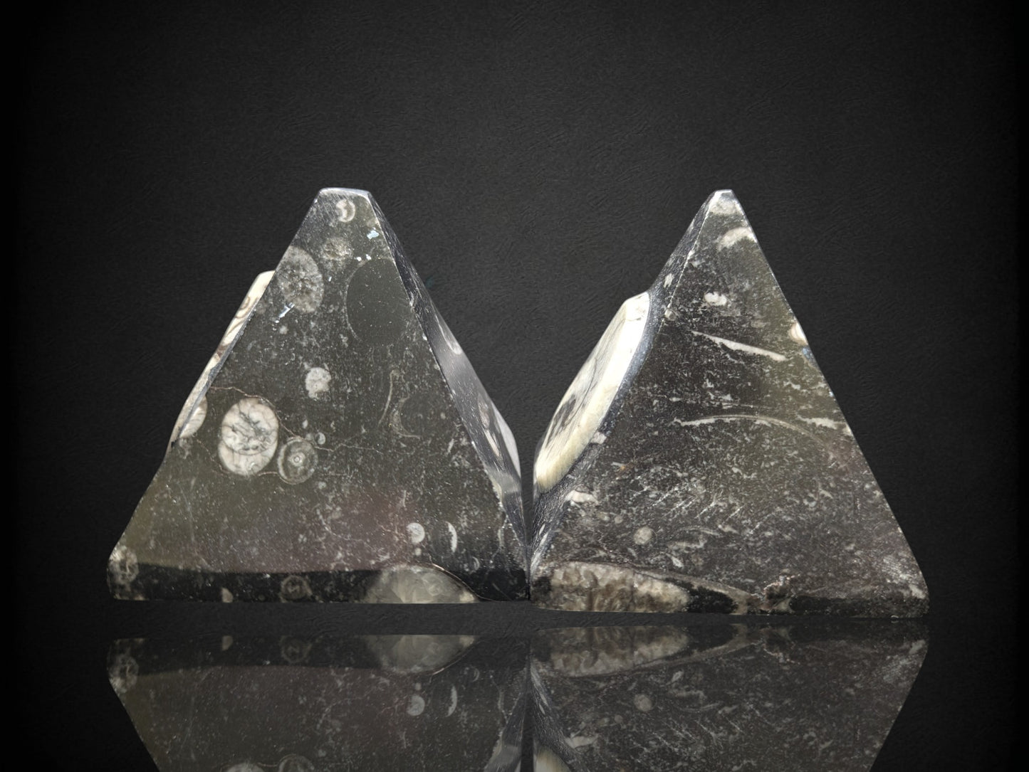 Orthoceras Pyramid