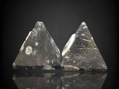 Orthoceras Pyramid