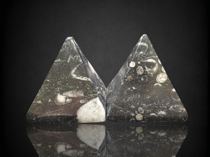 Orthoceras Pyramid