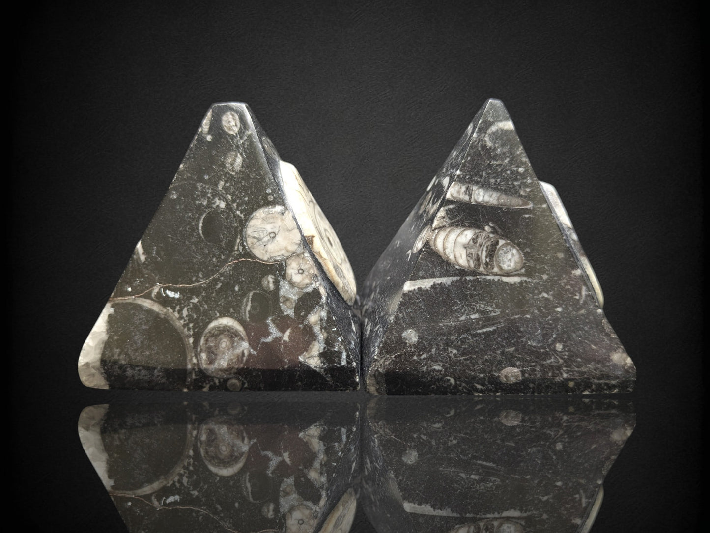 Orthoceras Pyramid