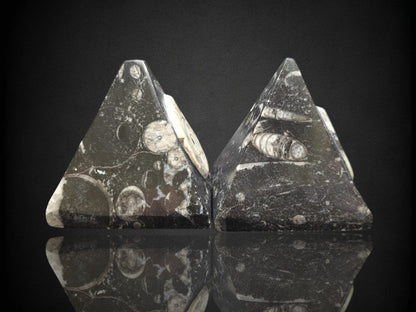Orthoceras Pyramid