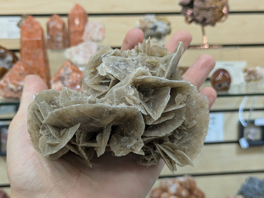 Desert Rose Selenite- El Oued, Algeria