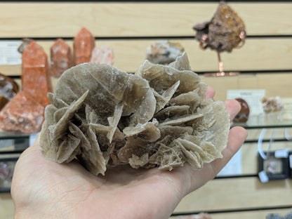 Desert Rose Selenite- El Oued, Algeria