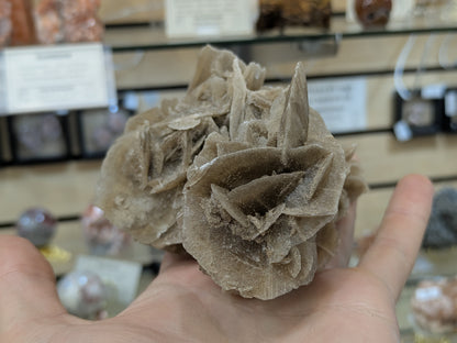 Desert Rose Selenite- El Oued, Algeria