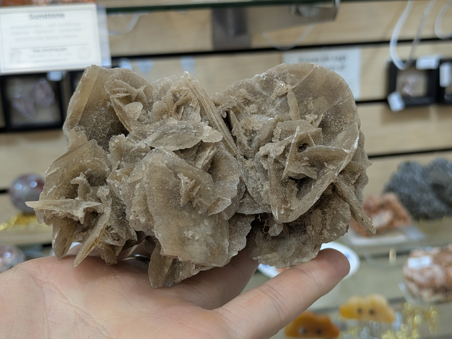 Desert Rose Selenite- El Oued, Algeria