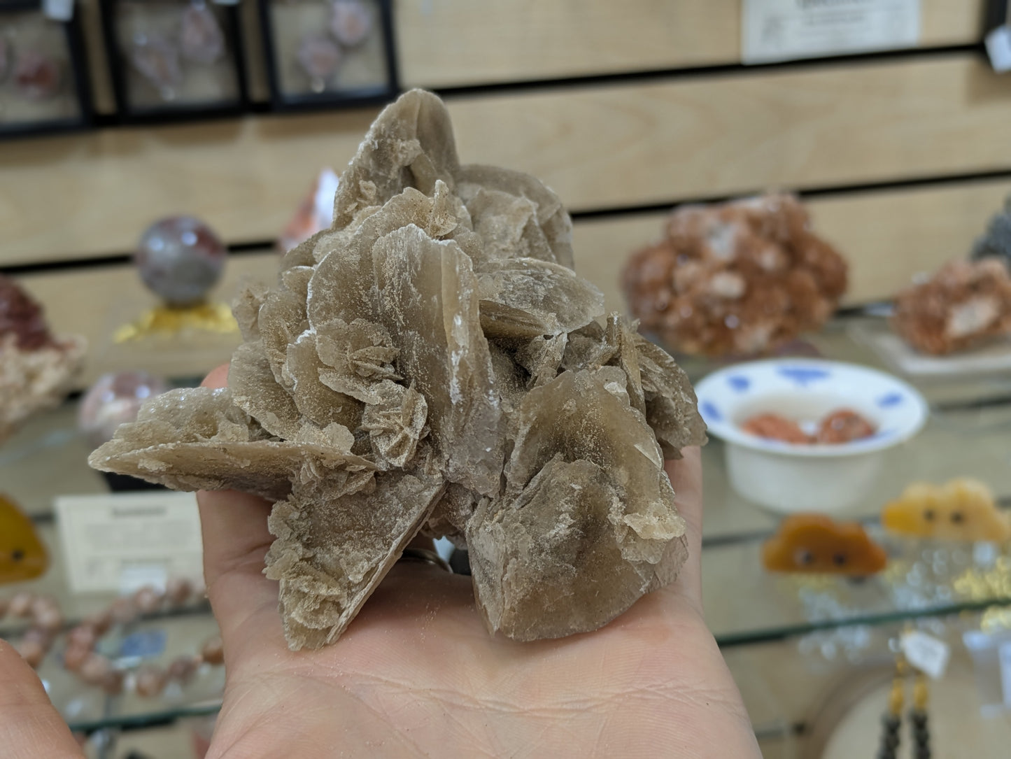 Desert Rose Selenite- El Oued, Algeria