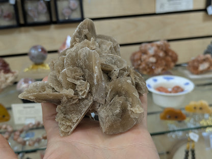 Desert Rose Selenite- El Oued, Algeria