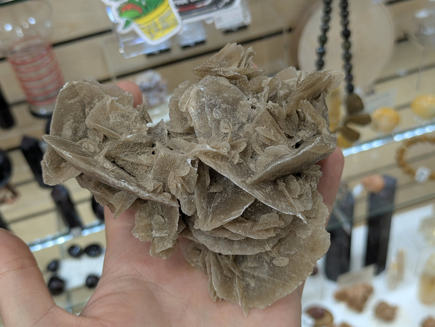 Desert Rose Selenite- El Oued, Algeria
