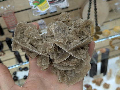 Desert Rose Selenite- El Oued, Algeria