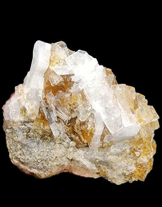 A rough, unpolished mineral rock known as "Fluorite, Celestite - Clay Center" from the Township of Allen, Ottawa County, Ohio, United States by The Crystalary features translucent white crystalline structures and patches of golden-brown color. The specimen includes celestite blades and is set against a solid black background, highlighting the contrasting textures and reflective surfaces.