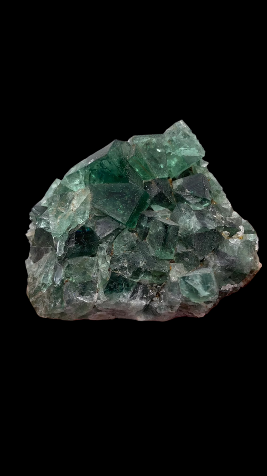 Introducing the Fluorite from The Crystalary's Greedy Hog pocket, sourced from the Diana Maria Mine in Co Durham, UK. This unique piece features a rough, irregular shape with multiple interconnected green translucent crystal formations. It also has a few distinctive white patches and is set against a solid black background, perfectly showcasing its origin and mesmerizing structure.