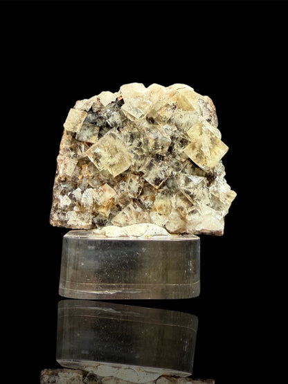 Fluorite - River Catcher Vein, Diana Maria Mine, Frosterley, Weardale, Co. Durham, UK