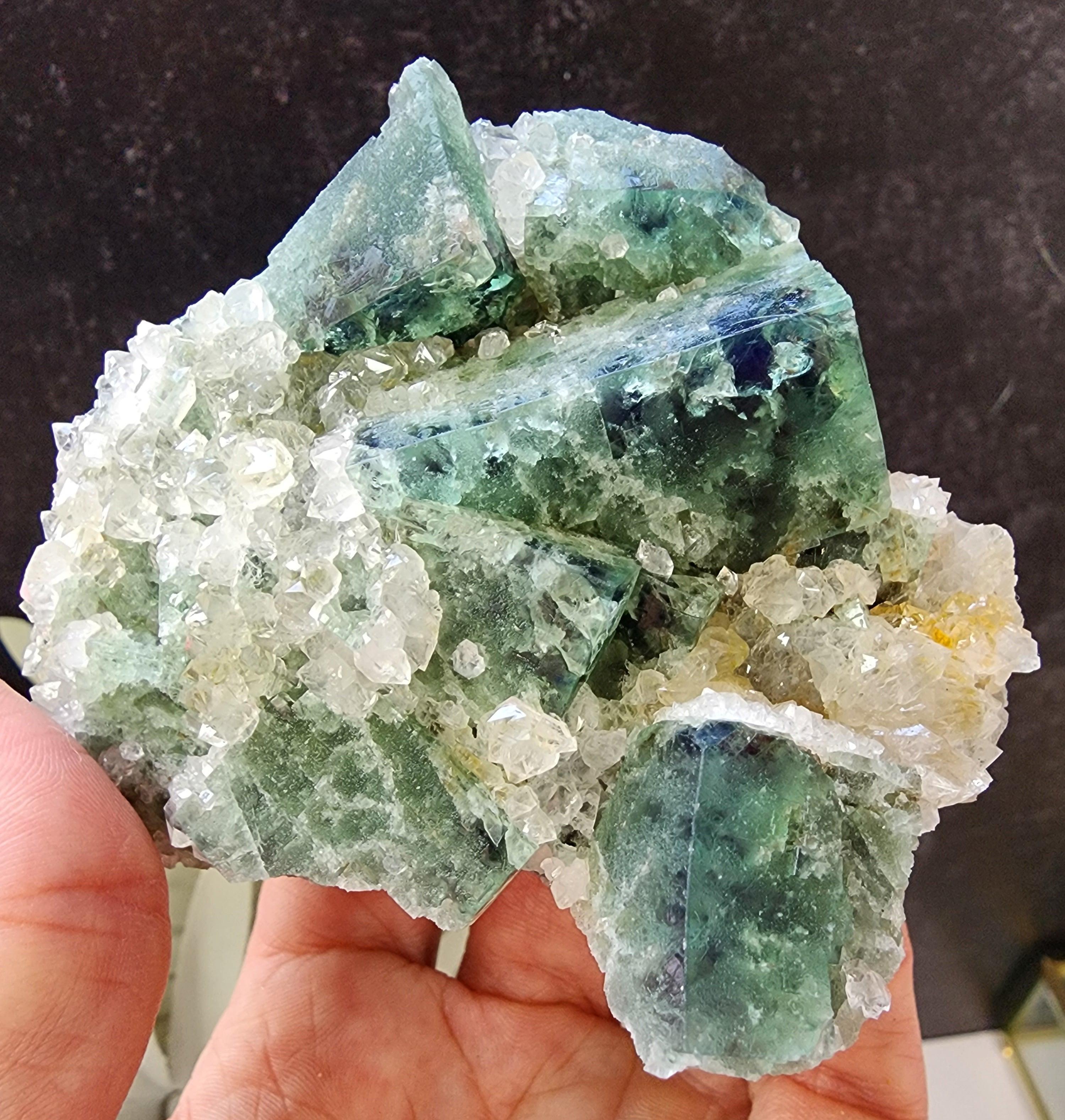 Hidden Forest Pocket Fluorite, Diana Maria Mine – The Crystalary
