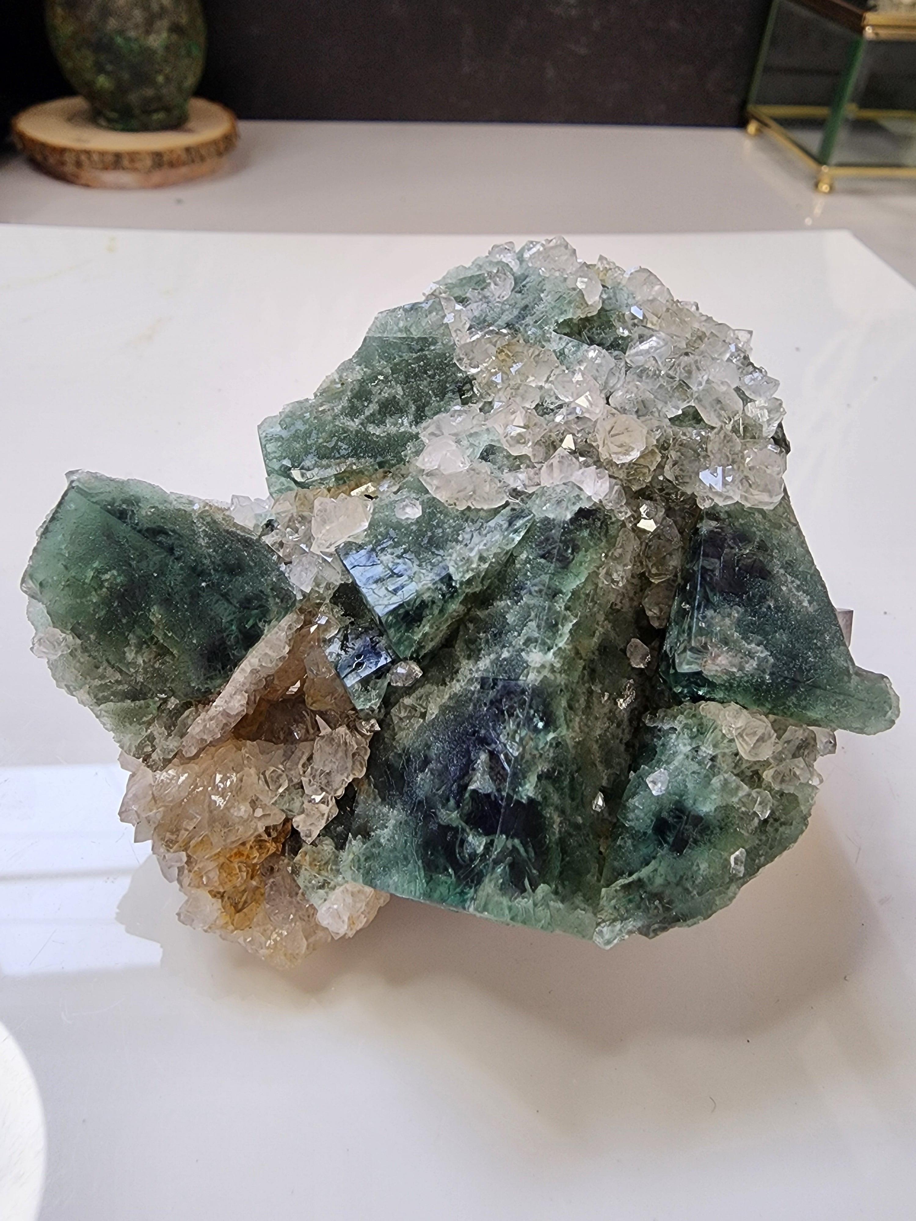 Hidden Forest Pocket Fluorite, Diana Maria Mine – The Crystalary