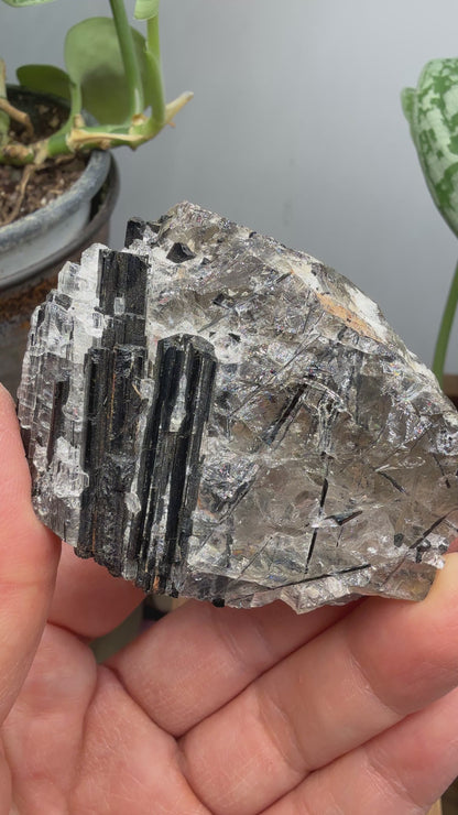 Schorl Tourmaline with Quartz– Minas Gerais, Brazil