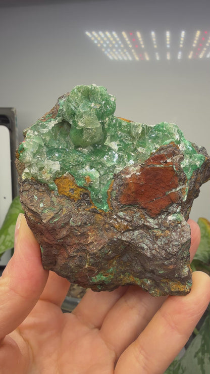 Calcite over Malachite- Old Dominion Mine, Globe, Gila County, Arizona, USA
