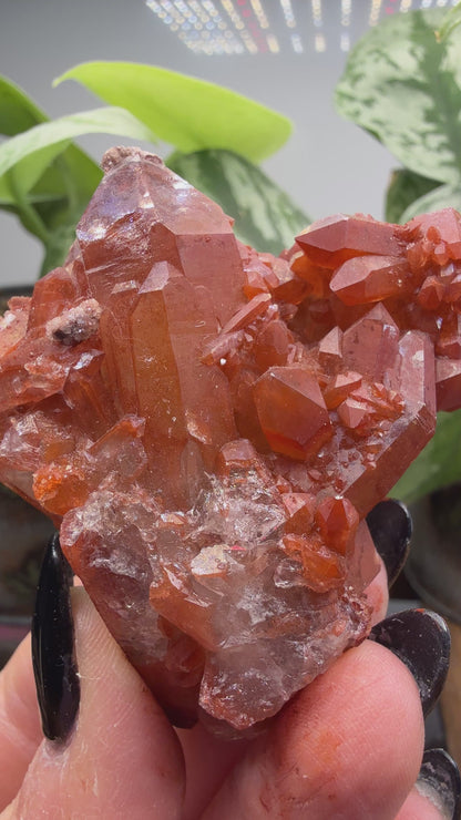 Red Quartz- Tinejdad, Er Rachidia Province, Meknes-Tafilalet Region, Morocco