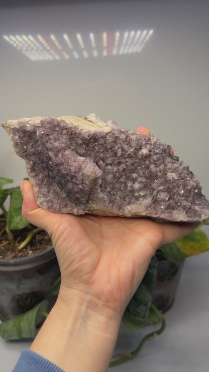 Fluorite- Greenlaws Mine, Daddry Shield, Weardale, County Durham, England