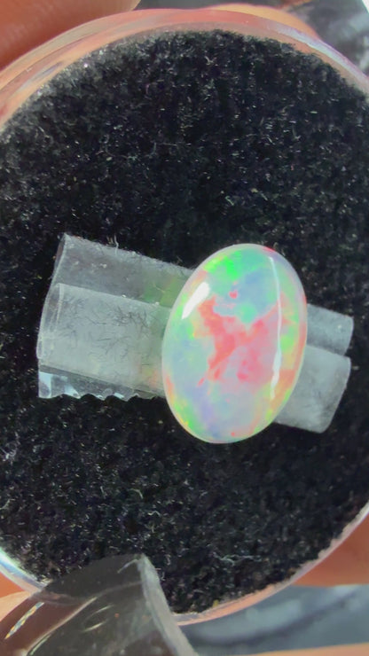 Natural Welo Opal Cabochon 11x9x4mm, 1.68ct- Painterly, floral, reds