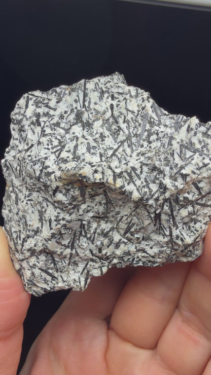Amphibole- Barkevikite (Ferro-edenite)- Archer Camp, Fresno County, California, USA