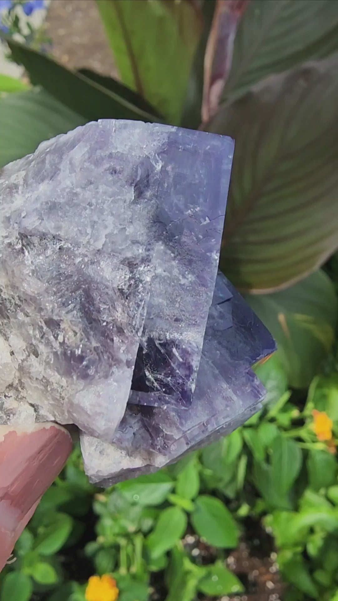 Fluorite, Purple Rain Pocket, Fairy Hole Vein, Lady