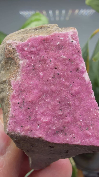 Calcite (Var: Cobalt-bearing Calcite)- Mashamba West Mine, Mutshatsha, Lualaba, DR Congo