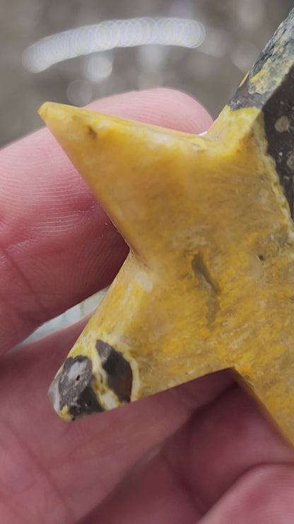 Bumblebee Jasper Star Carving - 1.6"
