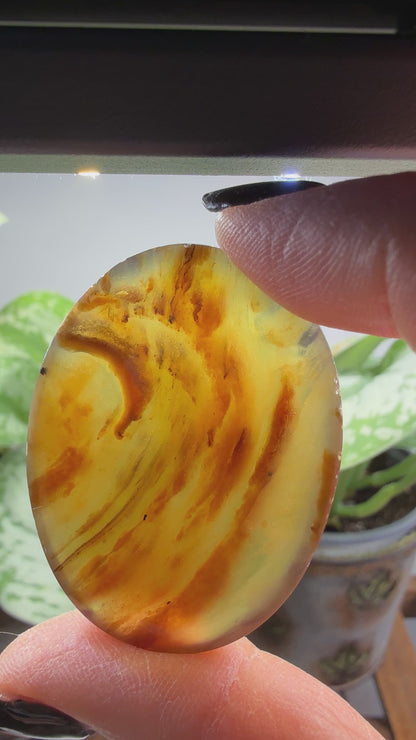 Amber Worry Stone- Indonesia