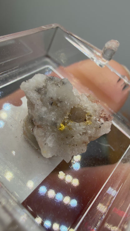 Native Gold in Quartz- La Choya Mine, Sonoyta,  Plutarco Elías Calles , Sonora, Mexico