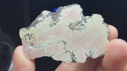 Datolite Nodule- Clark Mine, Copper Harbor, Grant Township, Keweenaw County, Michigan, USA