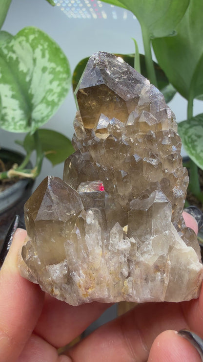 Citrine, var. Kundalini- Luena (Lwena), Democratic Republic of the Congo