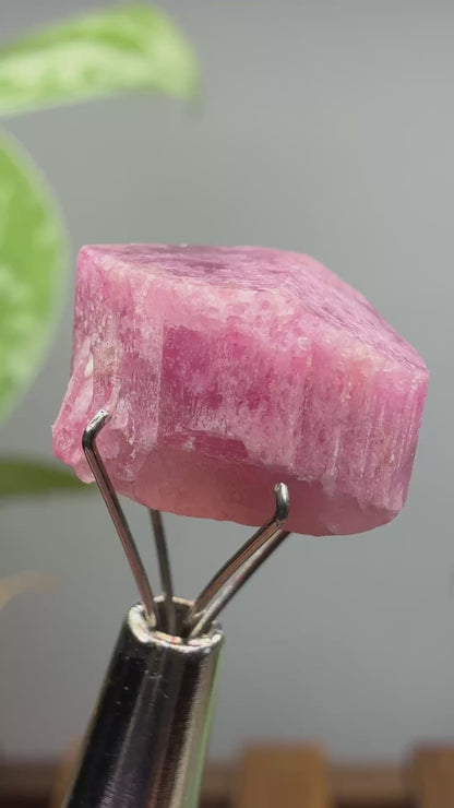 Tourmaline- Água Branca pegmatite, Barra do Salinas, Coronel Murta, Minas Gerais, Brazil