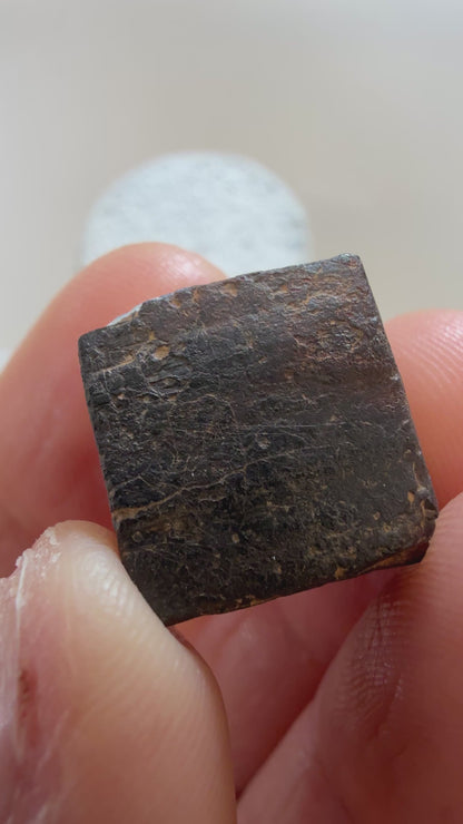 Limonite pseudomorph after Pyrite- Chapel Hill, Orange County, North Carolina, USA