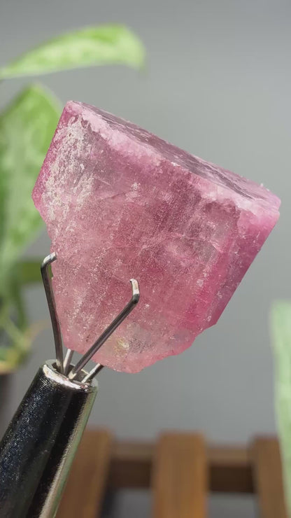 Tourmaline- Água Branca pegmatite, Barra do Salinas, Coronel Murta, Minas Gerais, Brazil
