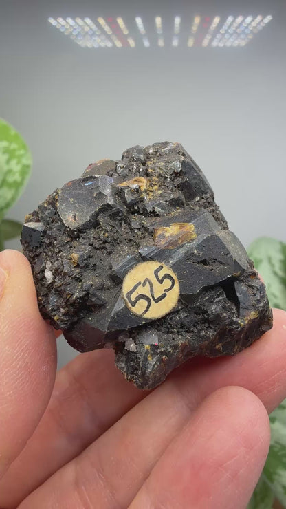 Sphalerite (Ruby Jack)- Joplin, Tri-State District, Missouri, USA