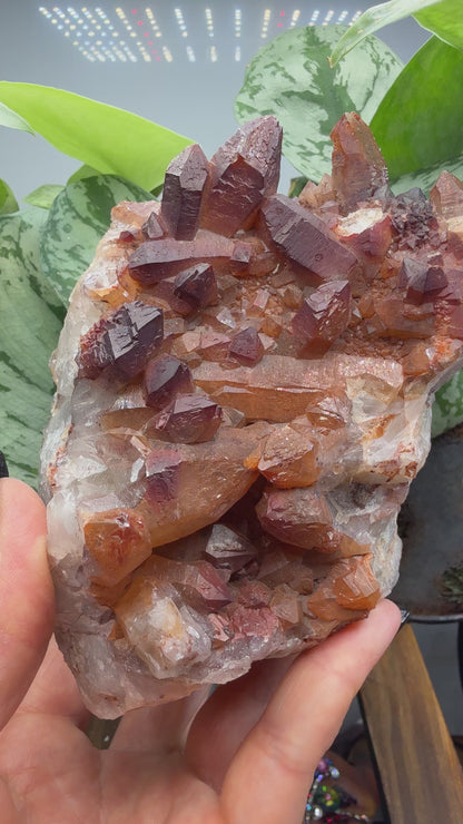 Red Quartz- Tinejdad, Er Rachidia Province, Meknes-Tafilalet Region, Morocco